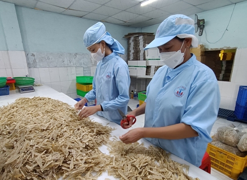Bà Rịa – Vùng Tàu Thu lợi hàng tỷ đồng từ phế phụ phẩm hải sản