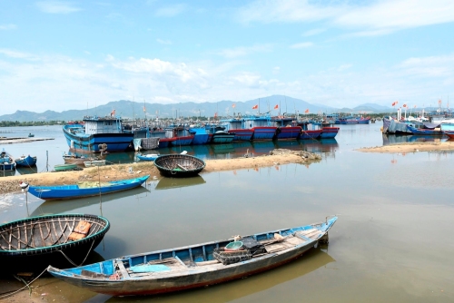 Đà Nẵng Khẩn trương hoàn thành chuỗi liên hoàn hậu cần nghề cá