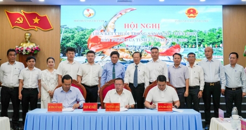 Xây dựng chuỗi liên kết cua Cà Mau: Bệ phóng đưa đặc sản vươn xa