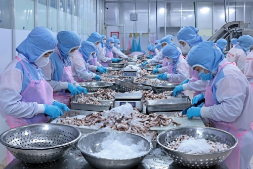 Xuất khẩu thủy sản Việt Nam tăng 13% trong tháng 1 năm 2026