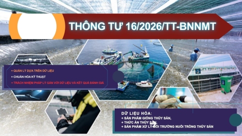Thông tư 16/2026: Doanh nghiệp thủy sản đứng trước yêu cầu mới
