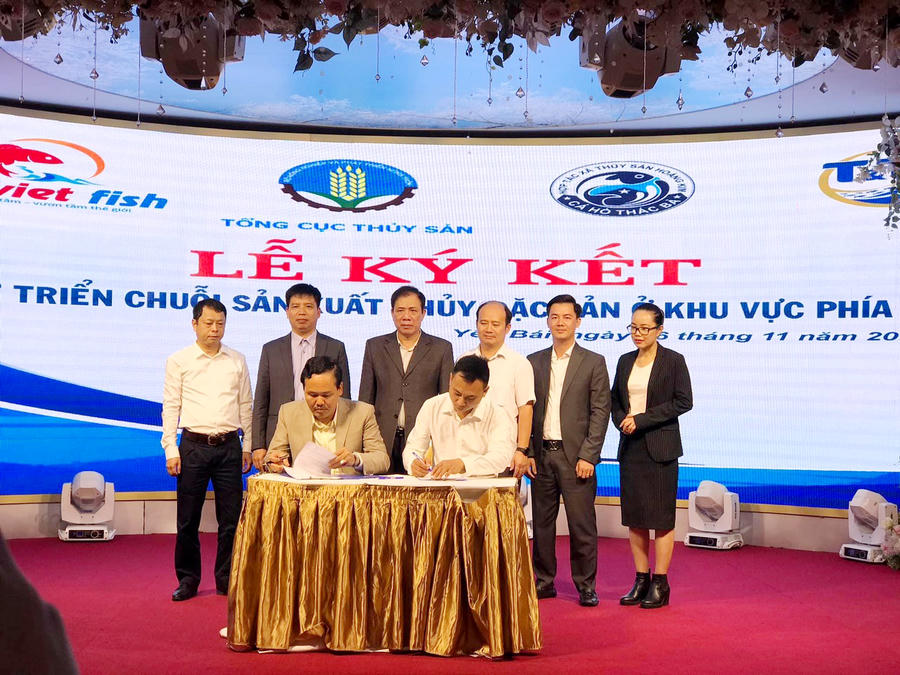 Công ty CP Cá sạch Việt Nam ảnh 1