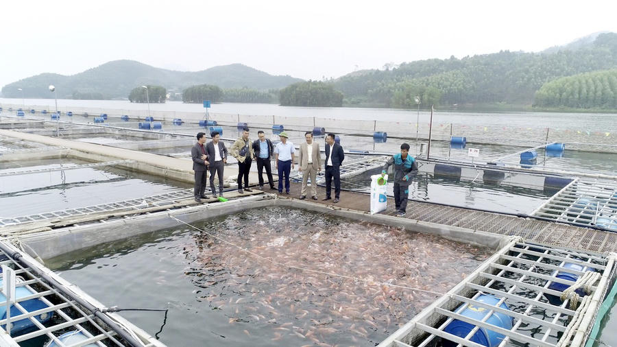 Công ty CP Cá sạch Việt Nam ảnh 4