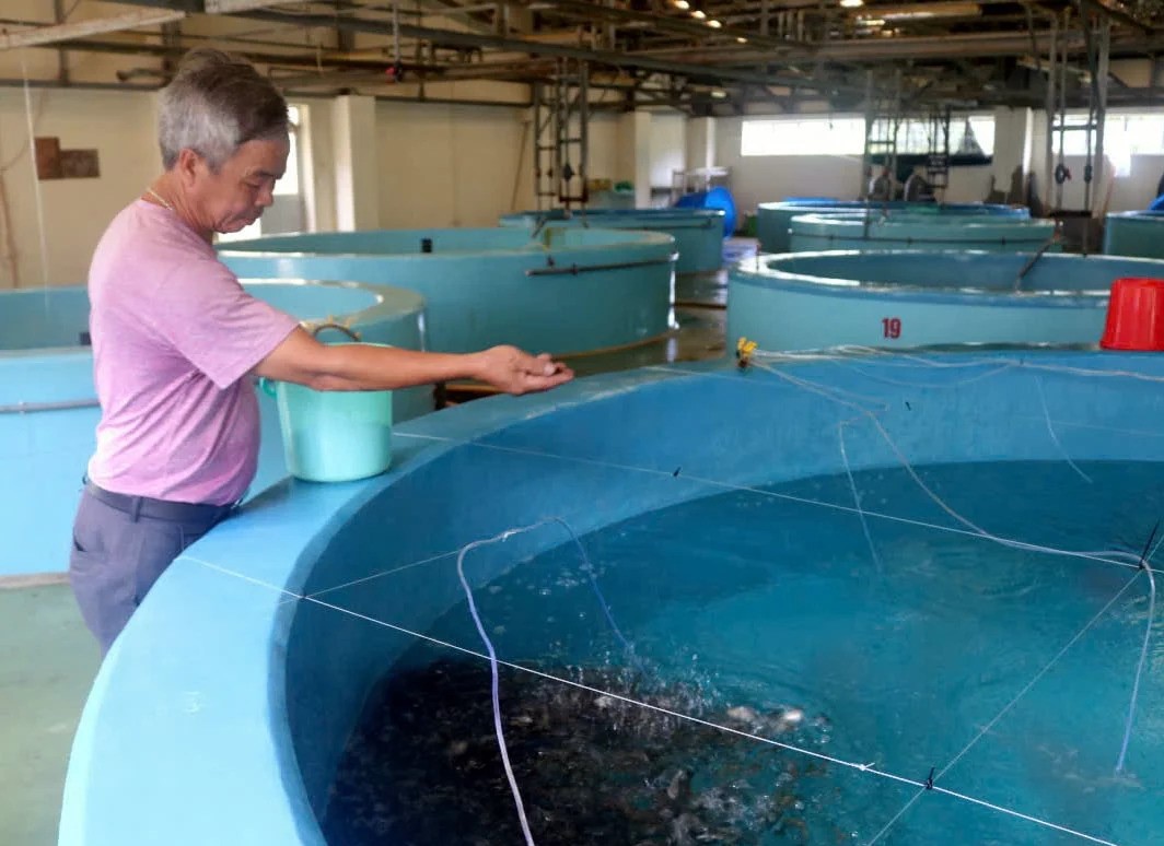 Khoa học công nghệ Đổi mới sáng tạo Chuyển đổi số Động lực phát triển đột phá ngành thủy sản 1